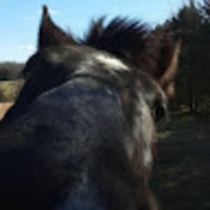 Meet your Posher, Katelyn